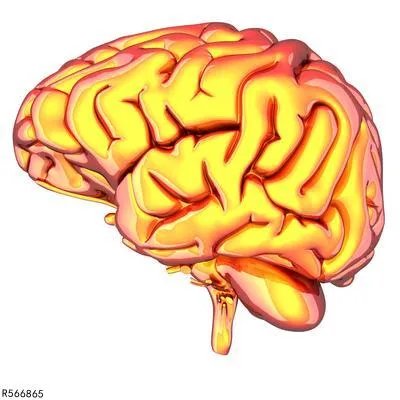 轻度脑萎缩治疗方法有哪些