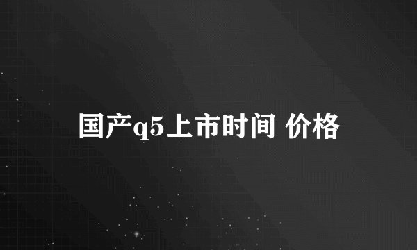 国产q5上市时间 价格
