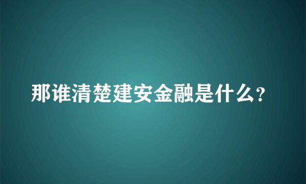 那谁清楚建安金融是什么？