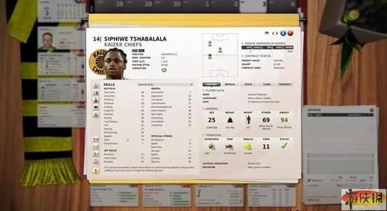 《FIFA足球经理11》宣布 配置要求＋截图