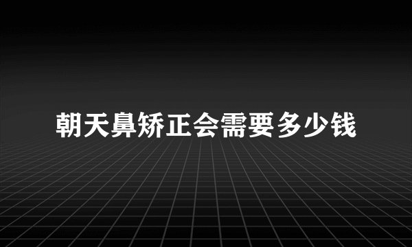 朝天鼻矫正会需要多少钱