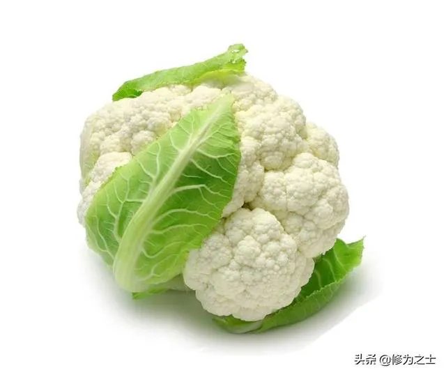 蔬菜供应链有没有人做？