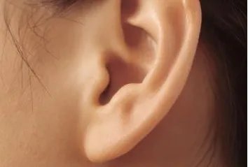 自体脂肪丰耳垂价格