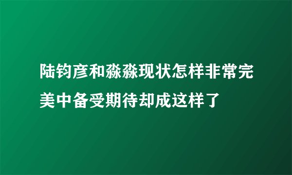 陆钧彦和淼淼现状怎样非常完美中备受期待却成这样了