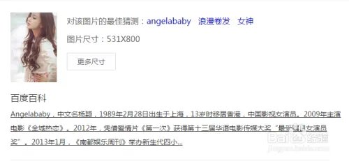 怎么使用百度图片搜索明星的资料