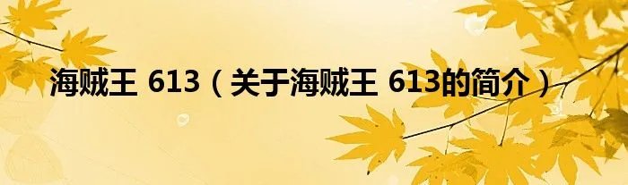 海贼王 613(关于海贼王 613的简介)