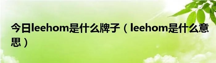 今日leehom是什么牌子（leehom是什么意思）