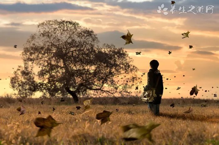 瑜伽是如何减肥的呢