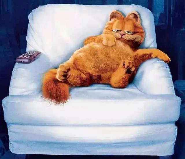 叶永青的《鸟》这幅画为什么值25万？是普通人看不懂艺术吗？