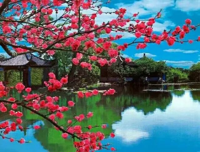 下联:千田连土土连田,如何对上联和横批?