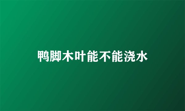鸭脚木叶能不能浇水