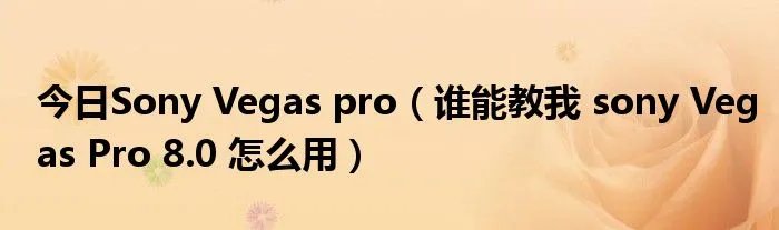 今日Sony Vegas pro（谁能教我 sony Vegas Pro 8.0 怎么用）