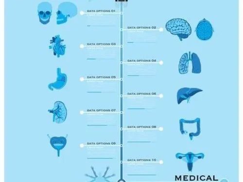 上海新华医院门诊就医全指南