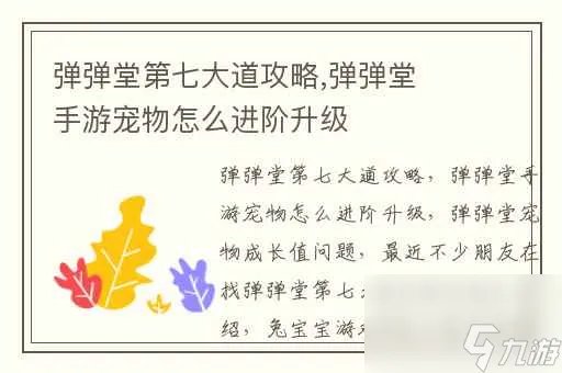弹弹堂第七大道攻略弹弹堂手游宠物怎么进阶升级