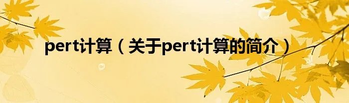 pert计算（关于pert计算的简介）