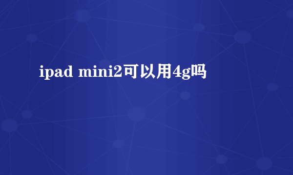 ipad mini2可以用4g吗