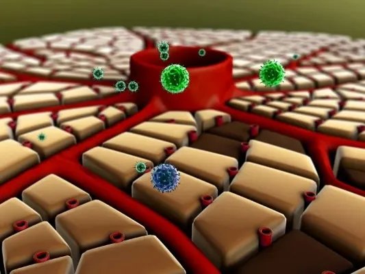 治疗霉菌性阴炎的药