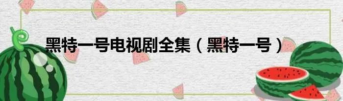 黑特一号电视剧全集（黑特一号）