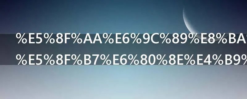 只有身份证号怎么查询四级成绩