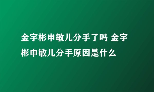 金宇彬申敏儿分手了吗 金宇彬申敏儿分手原因是什么