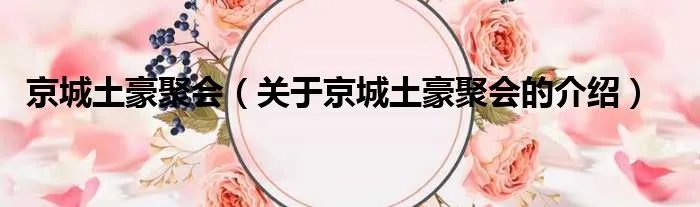 京城土豪聚会（关于京城土豪聚会的介绍）