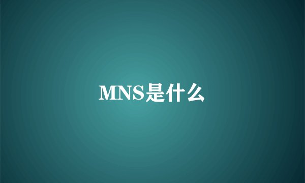 MNS是什么