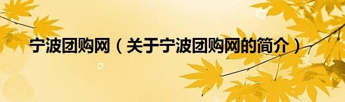 宁波团购网（关于宁波团购网的简介）