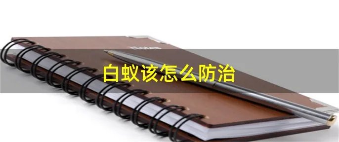 白蚁该怎么防治
