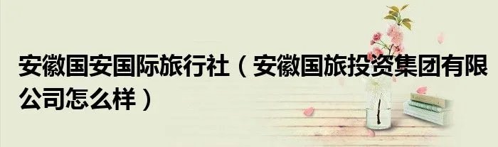 安徽国安国际旅行社（安徽国旅投资集团有限公司怎么样）