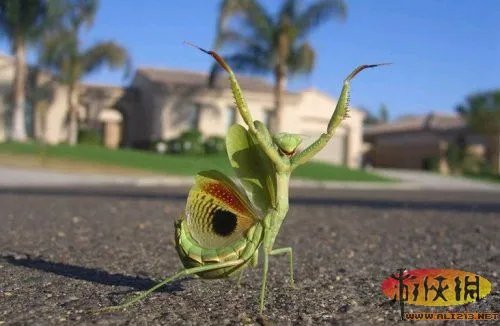 让人蛋疼 盘点武侠世界里最常见的50个经典桥段