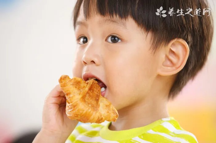 公主兔怎么养？如何正确饲养公主兔？