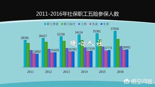 个体工商户如何办理养老保险？