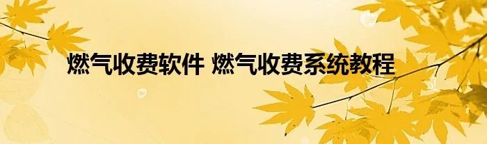 燃气收费软件 燃气收费系统教程