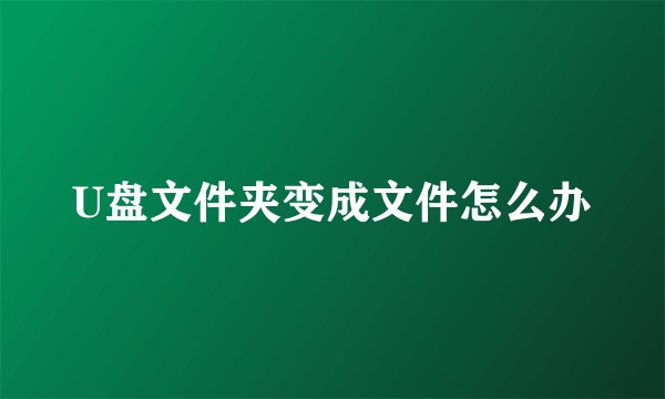 U盘文件夹变成文件怎么办