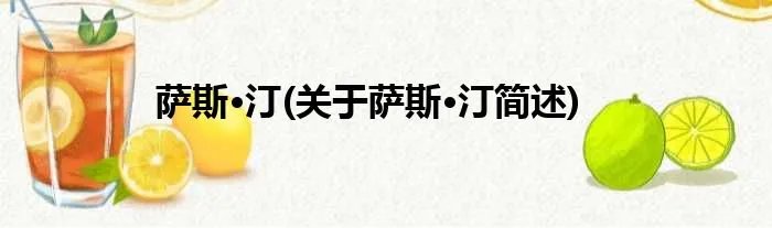 萨斯·汀(关于萨斯·汀简述)