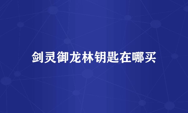 剑灵御龙林钥匙在哪买