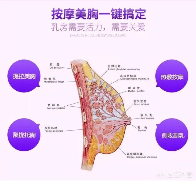 智能内衣真的有用吗？