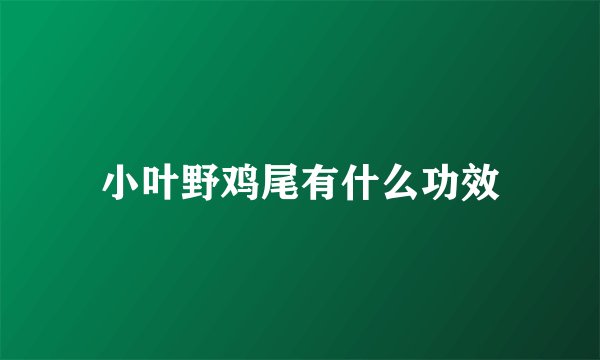 小叶野鸡尾有什么功效