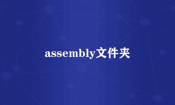 assembly文件夹