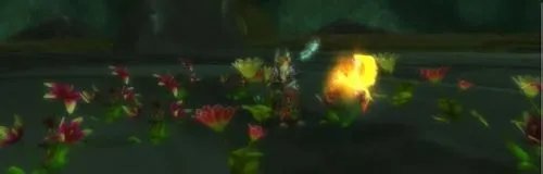 本月美酒怎么做