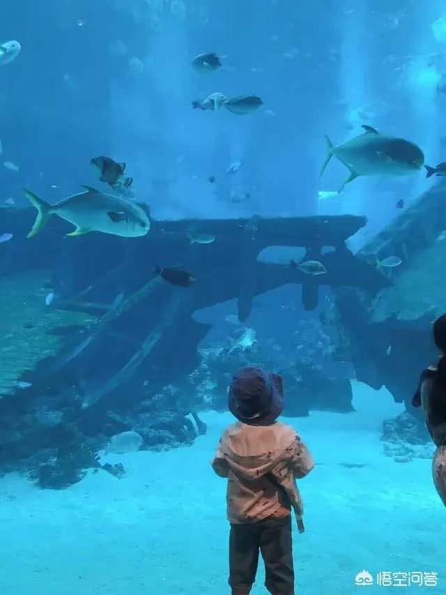 小朋友吵架怎么和好