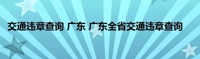 交通违章查询 广东 广东全省交通违章查询