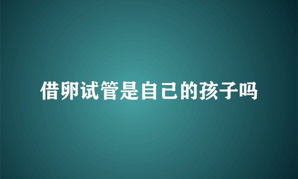 借卵试管是自己的孩子吗