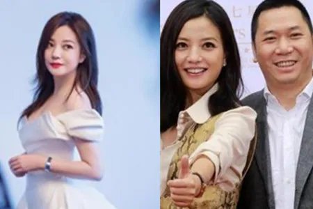 赵薇禁入证券市场 究其原因有三种