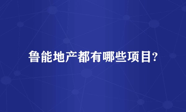 鲁能地产都有哪些项目?