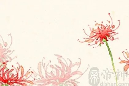 CF名字能用的符号大全，特殊符号打法