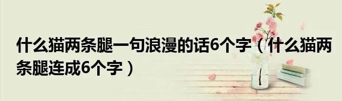 什么猫两条腿一句浪漫的话6个字（什么猫两条腿连成6个字）