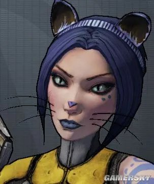 《无主之地2》全职业皮肤及头型收集攻略 全职业皮肤获取方法