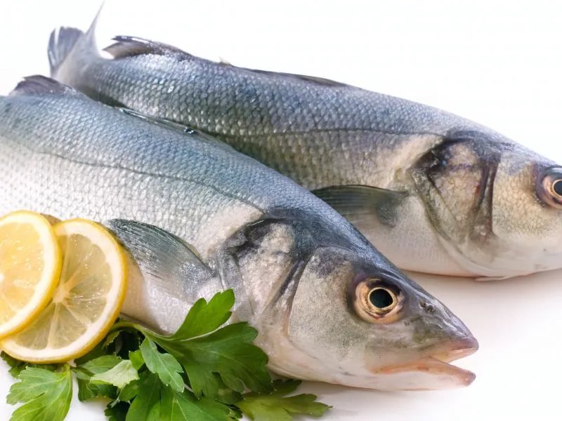 水鱼的营养价值