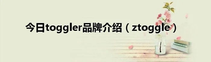 今日toggler品牌介绍（ztoggle）